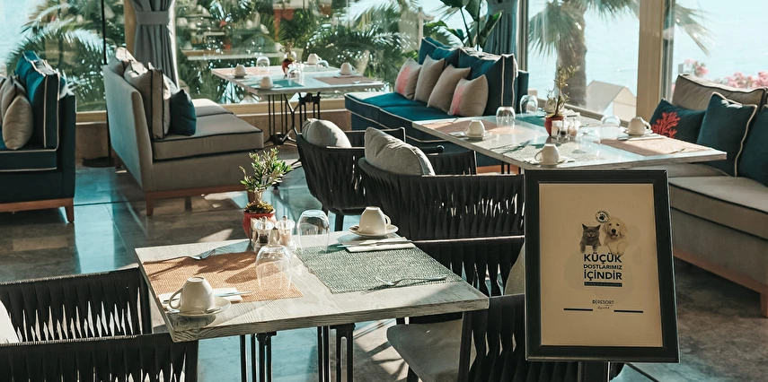 D - Resort Ayvalık Balıkesir Ayvalık 