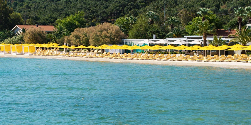 D - Resort Ayvalık Balıkesir Ayvalık 
