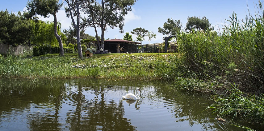 Hilton Dalaman Sarıgerme Resort & Spa Muğla Ortaca 