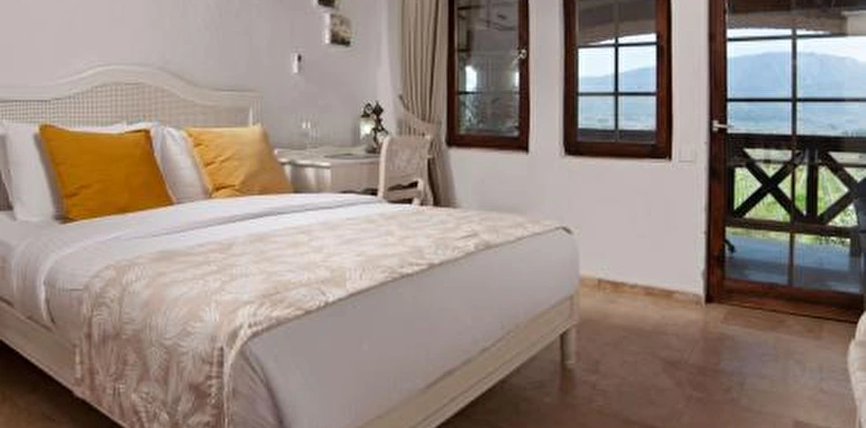 Vineyard Room