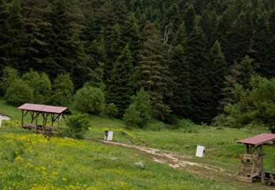 19 Mayıs Özel Abant Gölü ve Gölcük Gölü ( Cennet Gölü ) Turu