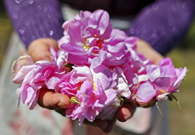 19 Mayıs Özel Lavanta Bahçeleri Salda Gölü Sagalassos ve Pamukkale Turu / 1 Gece Otel Konaklaması