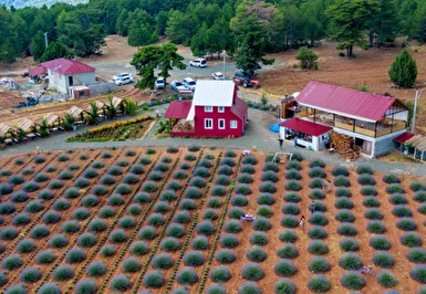19 Mayıs Özel Lavanta Bahçeleri Salda Gölü Sagalassos ve Pamukkale Turu / 1 Gece Otel Konaklaması