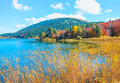 23 Nisan Özel Günübirlik Abant Gölü ve Gölcük Gölü ( Cennet Gölü ) Turu