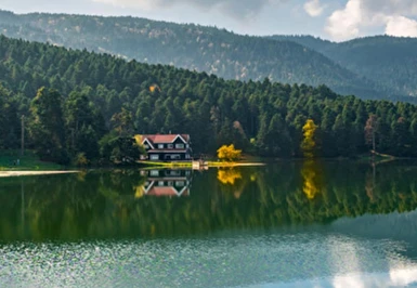 23 Nisan Özel Günübirlik Abant Gölü ve Gölcük Gölü ( Cennet Gölü ) Turu