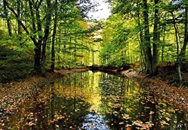 23 Nisan Özel Günübirlik Abant Sapanca Maşukiye Turu