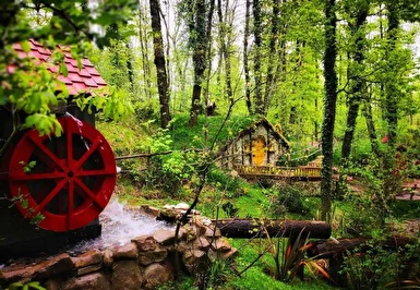 23 Nisan Özel Günübirlik Hobbit Evleri Ormanya Tabiat Parkı Maşukiye Sapanca Turu