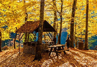 23 Nisan Özel Günübirlik Yedigöller Turu