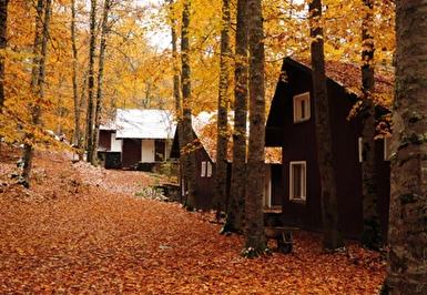 29 Ekim Özel Abant Sapanca Maşukiye Hobbit Evleri Ormanya Turu / 1 Gece Otel Konaklaması