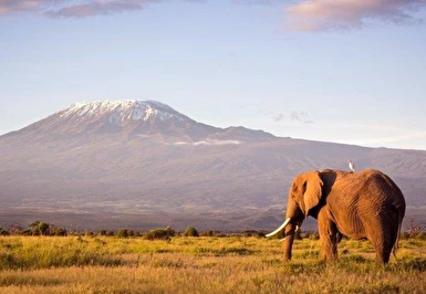 Afrika Keşfi Güney Afrika Zimbabve Botsvana Turu Thy ile 7 Gece 10 Gün CPT-JNB