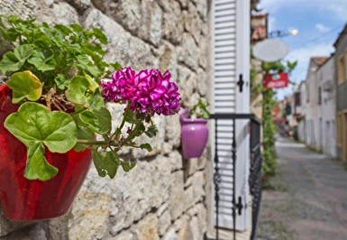 Alaçatı Ot Festivali Turu / Aya Yorgi Hotel By T / 1 Gece Otel Konaklaması İstanbul Bursa Çıkışlı