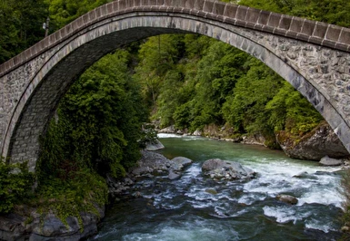 Gaziantep Adana Mersin Niğde Kayseri Çıkışlı Yeşil Karadeniz Yaylalar ve Batum Turu (Batum Turu Dahil) / 5 Gece Otel Konaklaması