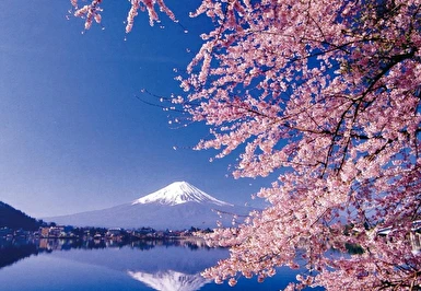 Görkemli Uzaklar Hong Kong Japonya Turu Thy ile 7 Gece HKG - NRT (ATS001)