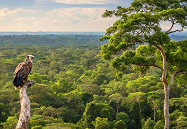 Grande Amazonas Turu Türk Hava Yolları ile 10 Gece 12 Gün (EJ001)