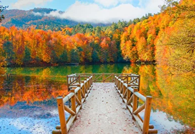 Günübirlik Yedigöller Turu 