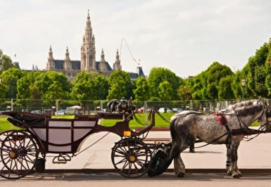 Hallstatt Salzburg Viyana Bled Turu Thy ile 3 Gece 4 Gün (IS001)