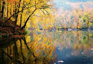 Kasım Ara Tatil Özel Günübirlik Yedigöller Turu