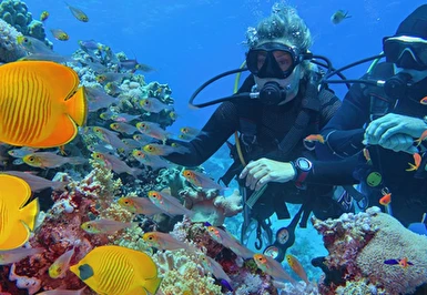 Kızıldeniz Akvaryumu Sharm El Sheikh Turu Thy ile 5 Gece 6 Gün