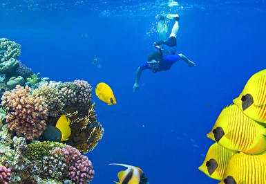 Kızıldeniz Akvaryumu Sharm El Sheikh Turu Thy ile 7 Gece 8 Gün