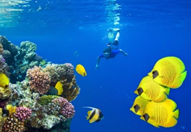 Kızıldeniz Rüyası Prestij Sharm El Sheikh Air Cairo Havayolları ile 4 Gece 5 Gün