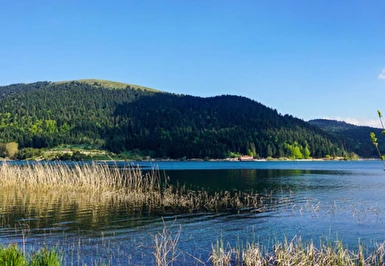 Kurban Bayramı Özel Günübirlik Abant Gölü ve Gölcük Gölü ( Cennet Gölü ) Turu