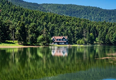 Kurban Bayramı Özel Günübirlik Abant Sapanca Maşukiye Turu