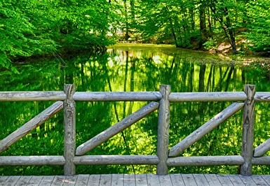 Kurban Bayramı Özel Günübirlik Yedigöller Turu