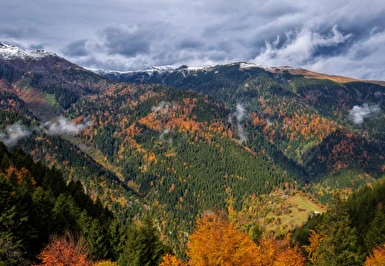 Kurban Bayramı Özel Niğde Çıkışlı Karadeniz Rüyası ve Yaylalar Turu / 5 Gece Otel Konaklaması