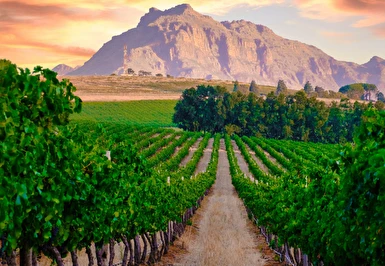 Muhteşem Güney Afrika Turu Qatar Havayolları ile 6 Gece Kış Dönemi (TCRD001)