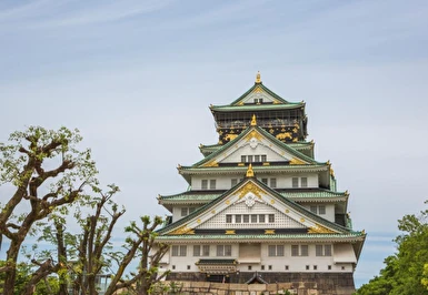 Özel Japonya Turu Türk Havayolları ile 7 Gece 10 Gün NRT-HND (EJ001)