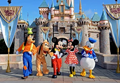 Paris Disneyland Turu Pegasus ile 4 Gece 5 Gün ORY-ORYW (TT001)