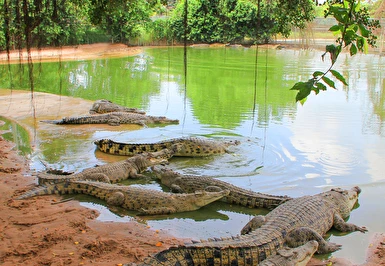 Pattaya Turu 7 Gece 9 Gün Mahan Havayolları İle Kurban Bayramı Özel 