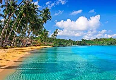 Phuket - Pattaya - Bangkok Turu 7 Gece 9 Gün Türk Havayolları İle Kurban Bayramı Özel 2 Haziran BKK-BKK