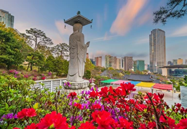 Platinum Doğu Asya'nın Çiçeği ve Güneşi Güney Kore ve Japonya Turu Thy ile 8 Gece 11 Gün ICN-HND