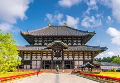 Platinum Doğu Asya'nın Çiçeği ve Güneşi Güney Kore ve Japonya Turu Thy ile 9 Gece 11 Gün ICN-HND