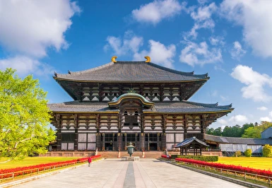 Platinum Doğu Asya'nın Güneşi Japonya Turu 6 Gece 8 Gün THY ile Kıx-hnd