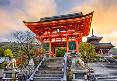 Platinum Doğu Asya'nın Güneşi ve Çiçeği Japonya ve Güney Kore Thy ile 9 Gece 11 Gün HND-ICN