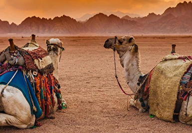 Sharm El Sheikh Turu Kurban Bayramı Özel AJET Havayolları ile 6 Gece 7 Gün (25-31Mayıs)