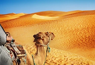 Tunus Turu Türk Havayolları İle Kurban Bayramı Özel