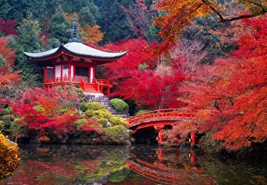 Uzak Doğu’nun İki İncisi Japonya & Kore Turu Ekstra Turlar Dahil 6 Gece Türk Havayolları ile Kurban Bayramı Özel NRT - ICN