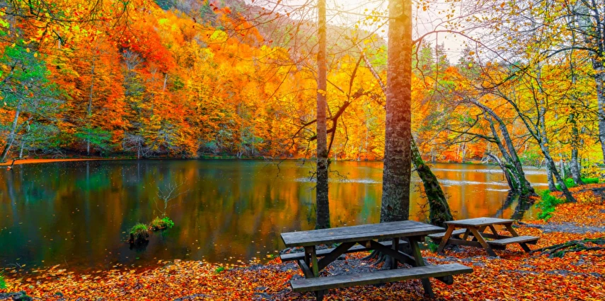 1 Mayıs Özel Batı Karadeniz Turu / 1 Gece Otel Konaklaması