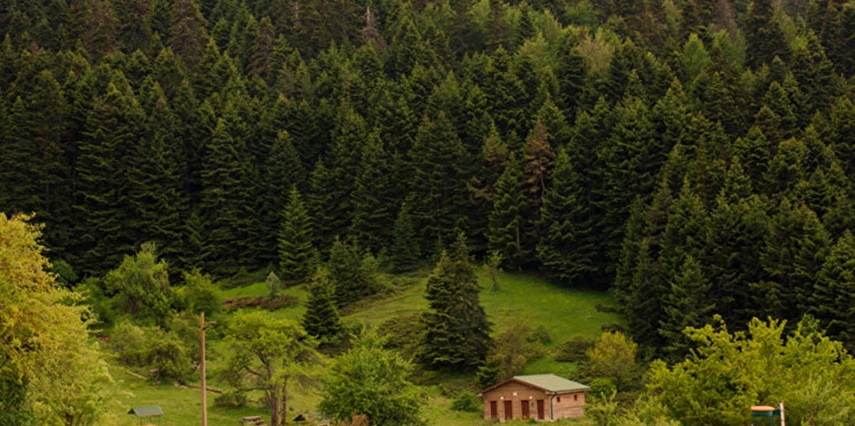 1 Mayıs Özel Günübirlik Abant Gölü ve Gölcük Gölü ( Cennet Gölü ) Turu