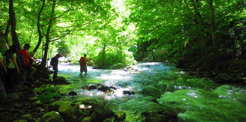 1 Mayıs Özel Günübirlik Hobbit Evleri Ormanya Tabiat Parkı Maşukiye Sapanca Turu