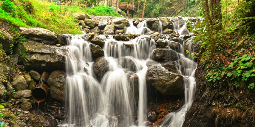 1 Mayıs Özel Günübirlik Hobbit Evleri Ormanya Tabiat Parkı Maşukiye Sapanca Turu