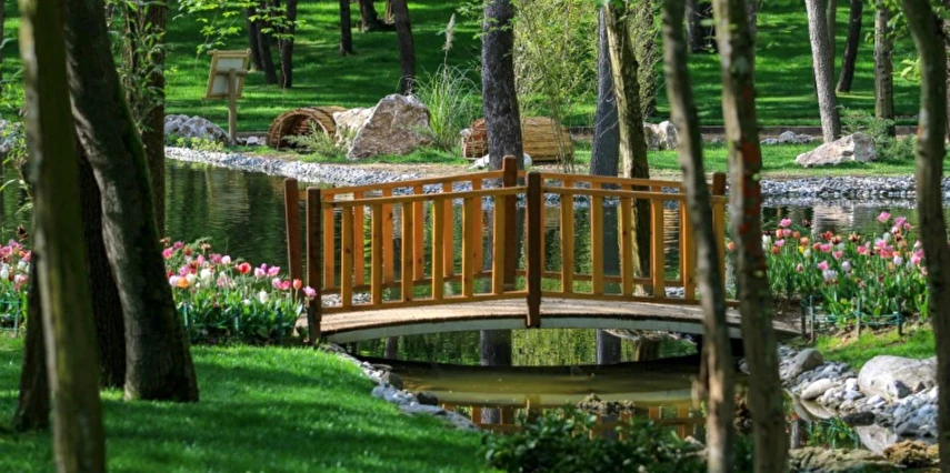 1 Mayıs Özel Günübirlik Hobbit Evleri Ormanya Tabiat Parkı Maşukiye Sapanca Turu