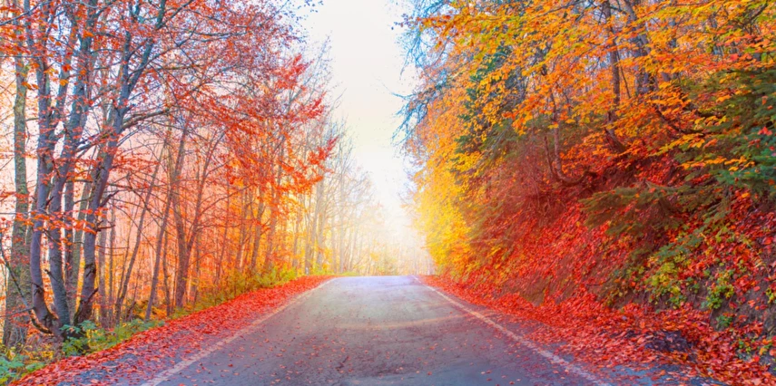 1 Mayıs Özel Günübirlik Hobbit Evleri Ormanya Tabiat Parkı Maşukiye Sapanca Turu