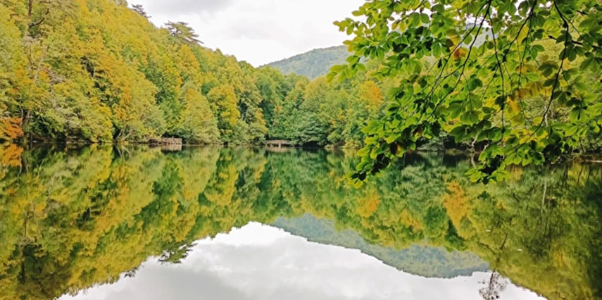 1 Mayıs Özel Günübirlik Yedigöller Turu