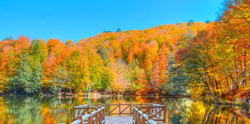 1 Mayıs Özel Günübirlik Yedigöller Turu