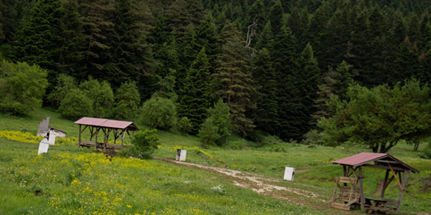 19 Mayıs Özel Abant Gölü ve Gölcük Gölü ( Cennet Gölü ) Turu