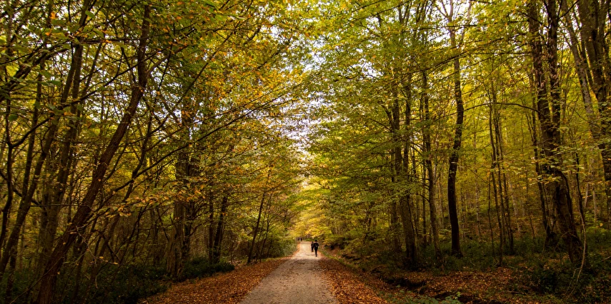19 Mayıs Özel Edirne Kıyıköy İğneada Turu / 1 Gece Otel Konaklaması